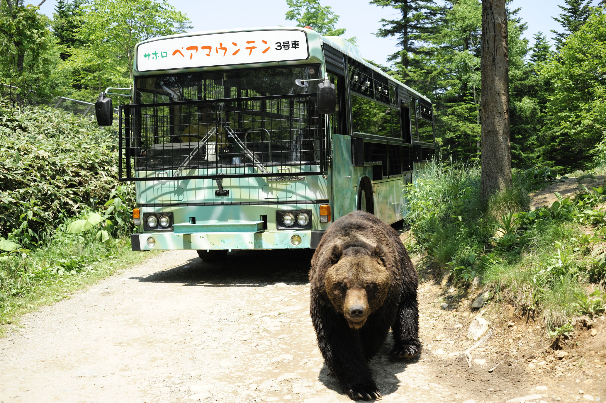 观熊巴士课程
